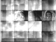 BRIGHT FIELD 14 | 1996 | Infrared Photograph | 4" x 5.5"