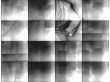 BRIGHT FIELD 19 | 1996 | Infrared Photograph | 4" x 5.5"