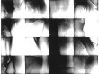 BRIGHT FIELD 23 | 1996 | Infrared Photograph | 4" x 5.5"