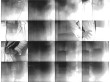 BRIGHT FIELD 29 | 1996 | Infrared Photograph | 4" x 5.5"
