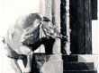 MYTH HORSE | 1985 | Acrylic on Paper | 60" x 40"