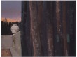 OAS | 1988 | Oil on Panel | 18" x 24"