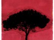 ROMA TREE 4 | 2010 | Oil & Acrylic on Paper | 28.5" x 20"