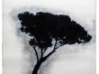 ROMA TREE 8 | 1990 | Oil & Acrylic on Paper | 28.5" x 20"
