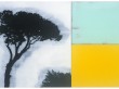 TREE ROMA | 1994 | Oil on Panel | 11.5" x 19.75"