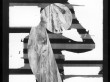 VIOL 4 | Photographic Print | 10.75” x 8.5”