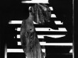 VIOL 8 | Photographic Print | 10.75” x 8.5”