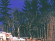 snapshot 14 | Oil on Panel | 5.75" x 8.25"