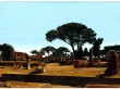 snapshot 39 | Oil on Panel | 5.75" x 8.25"