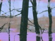 snapshot 4 | Oil on Panel | 5.75" x 8.25"