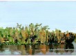 snapshot 40 | Oil on Panel | 5.75" x 8.25"