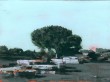 snapshot 46 | Oil on Panel | 5.75" x 8.25"
