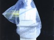 C Garibaldi II | 2011 | Flashe Vinyl Paint on Inkjet Print | 29.7cm x 21cm