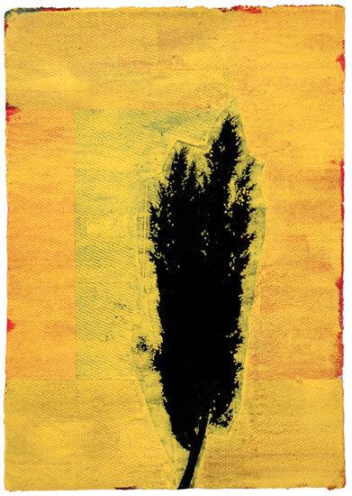 ROMA TREE 1 | 2010 | Oil & Acrylic on Paper | 28.5" x 20"